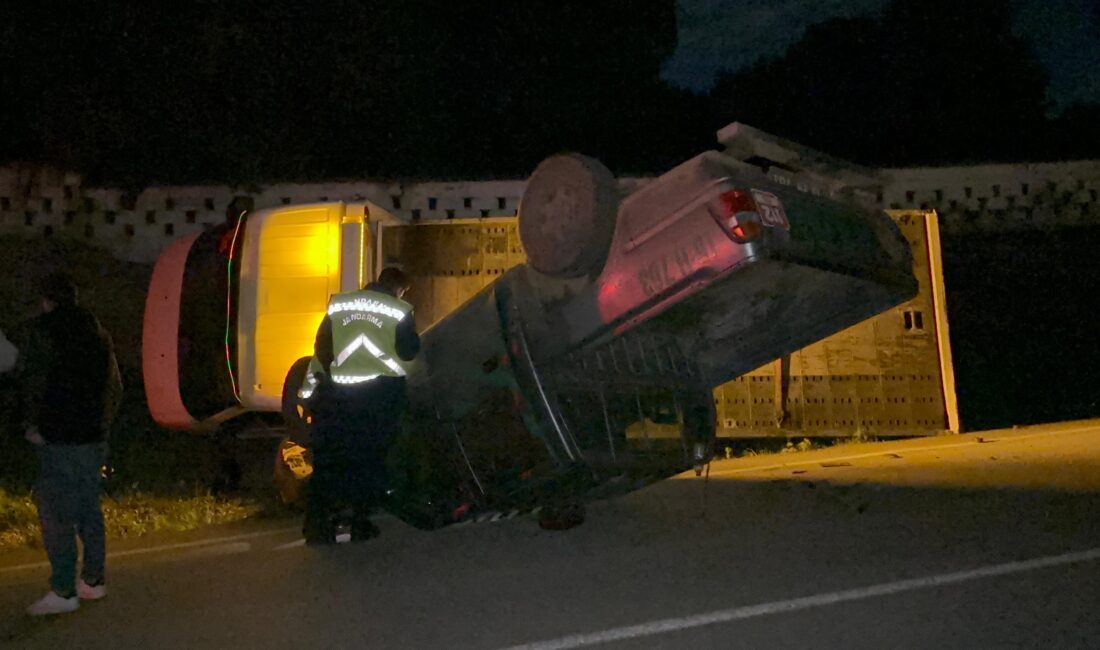 Bursa’nın İznik ilçesine bağlı Elbeyli Mahallesi Mezarlık mevkiinde meydana gelen
