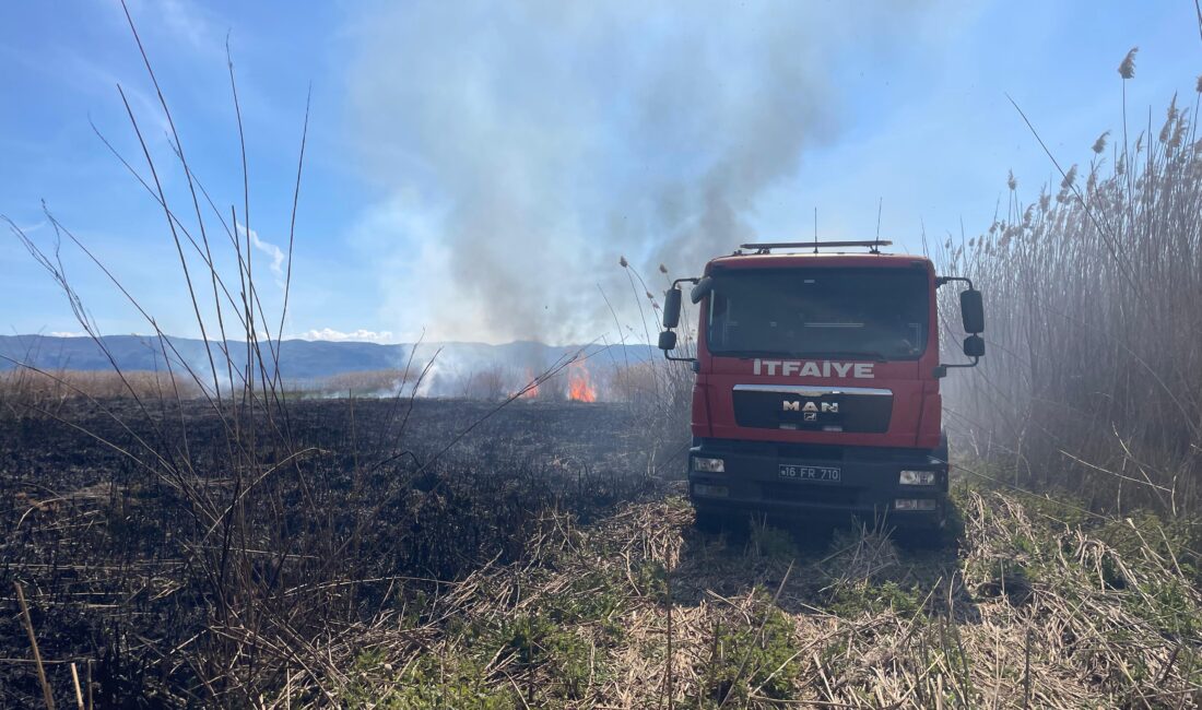 İznik’e bağlı Çakırca Mahallesi’nde bulunan sazlık alanda, bugün saat 14.30