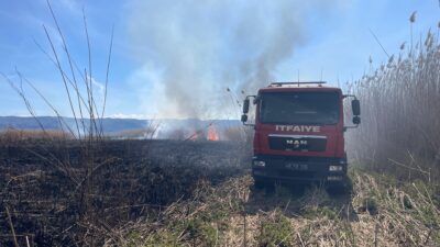 İznik’e bağlı Çakırca Mahallesi’nde bulunan sazlık alanda, bugün saat 14.30