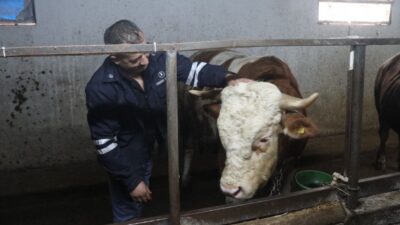 Dini bayramların 2.si olan Kurban Bayramı’na yaklaşık 2 ay kadar