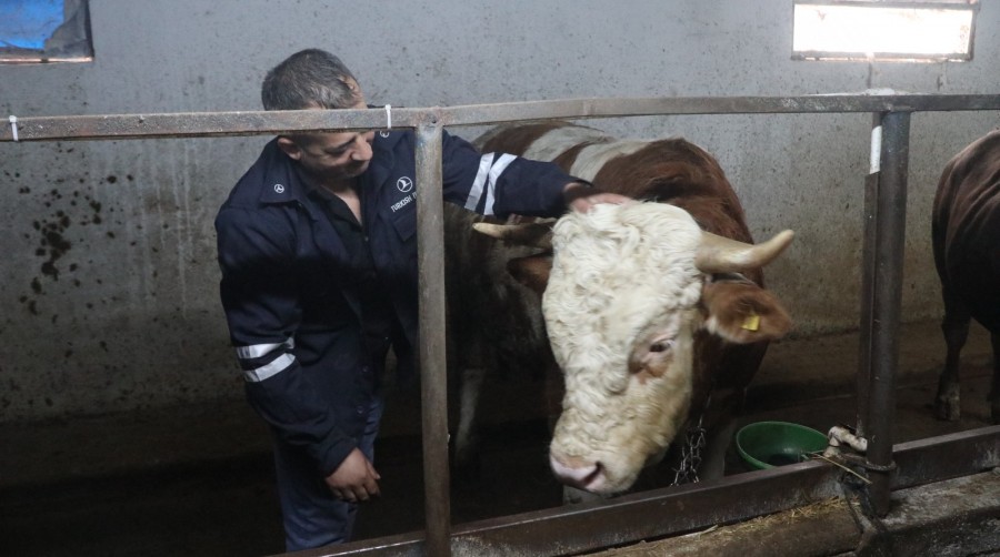 Dini bayramların 2.si olan Kurban Bayramı’na yaklaşık 2 ay kadar