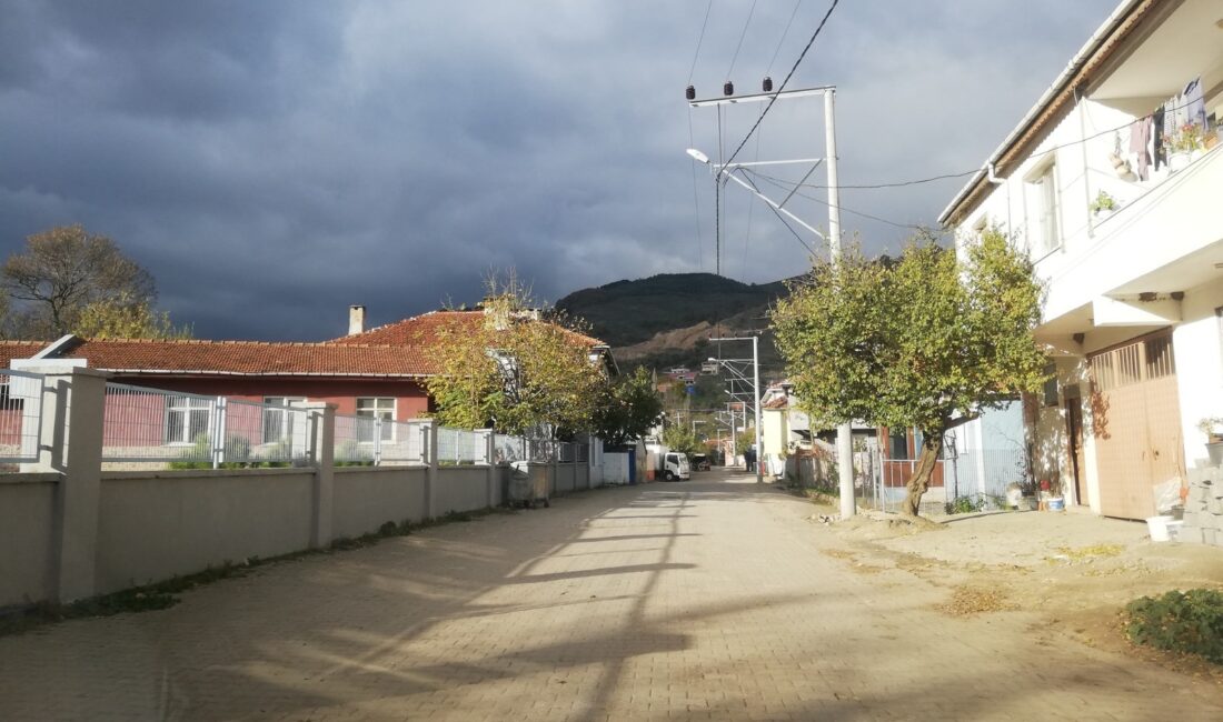 Bursa'nın Orhangazi ilçesinde MHP ilçe başkanı Halil Bozoğlu, uzun zamandır