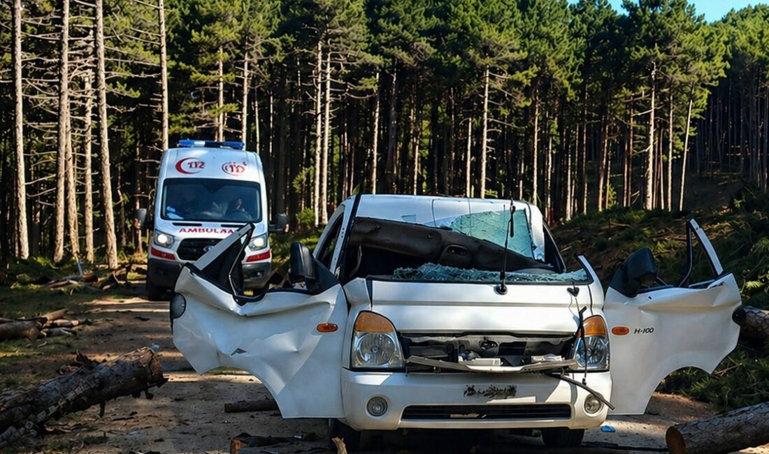 Bursa’da ormanda kesilen çam ağacının seyir halindeki aracın üzerine devrilmesi