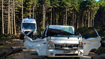 Bursa’da ormanda kesilen çam ağacının seyir halindeki aracın üzerine devrilmesi