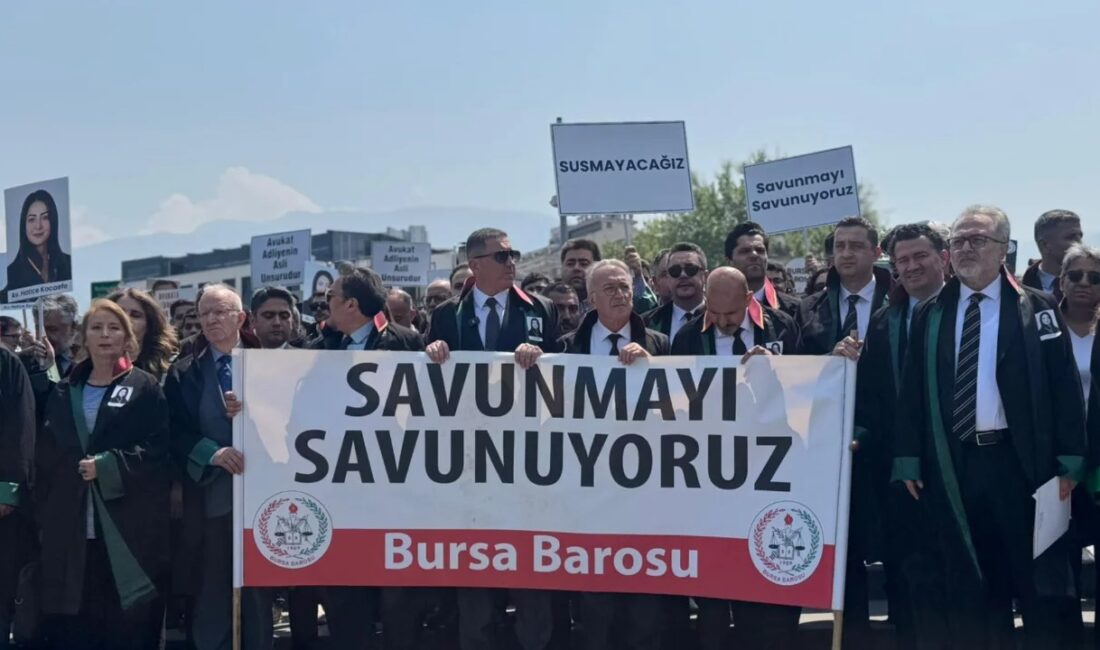 Bursa'nın Gürsu ilçesinde dün meydana gelen olayda ablasına ait meyve