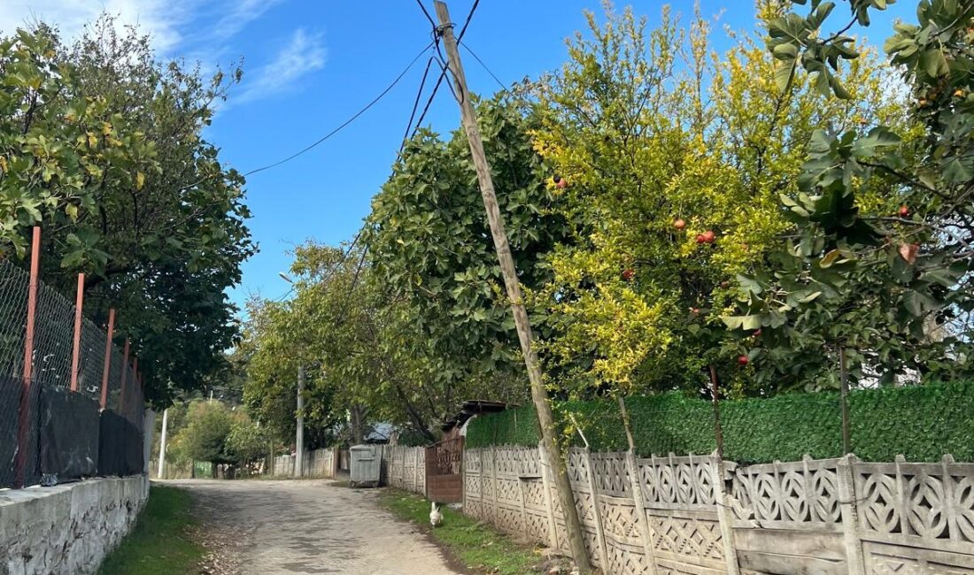 Bursa’nın Orhangazi ilçesine bağlı Yeniköy ile Ortaköy mahalleleri arasında bulunan
