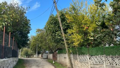 Bursa’nın Orhangazi ilçesine bağlı Yeniköy ile Ortaköy mahalleleri arasında bulunan