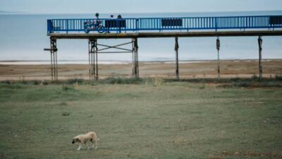 Türkiye’nin beşinci Bursa'nın en büyük tatlı su gölü olan ancak