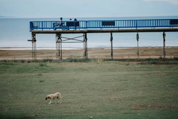 Türkiye’nin beşinci Bursa'nın en büyük tatlı su gölü olan ancak