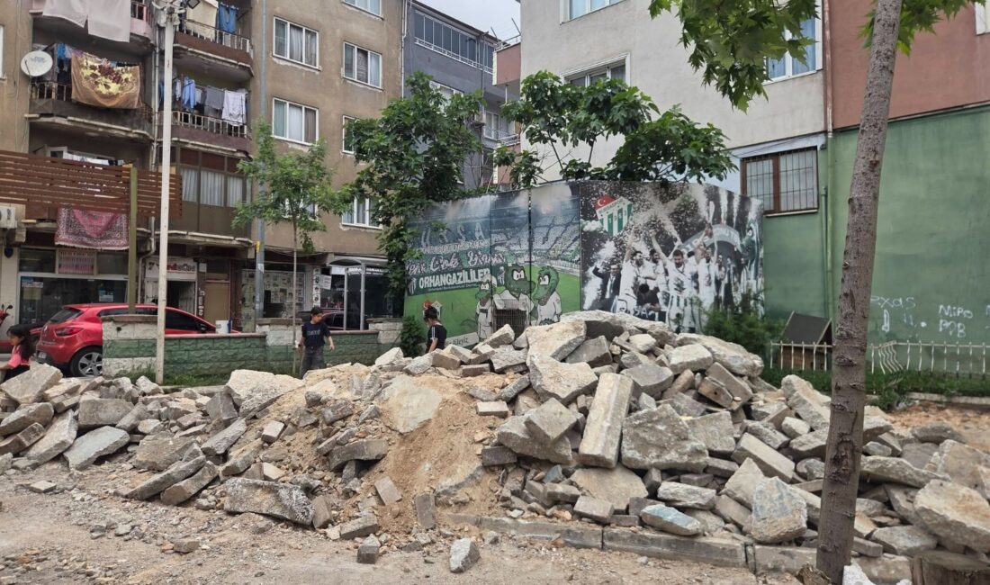 Bursa'nın Orhangazi ilçesinde şehrin simgelerinden biri haline gelen ve uzun