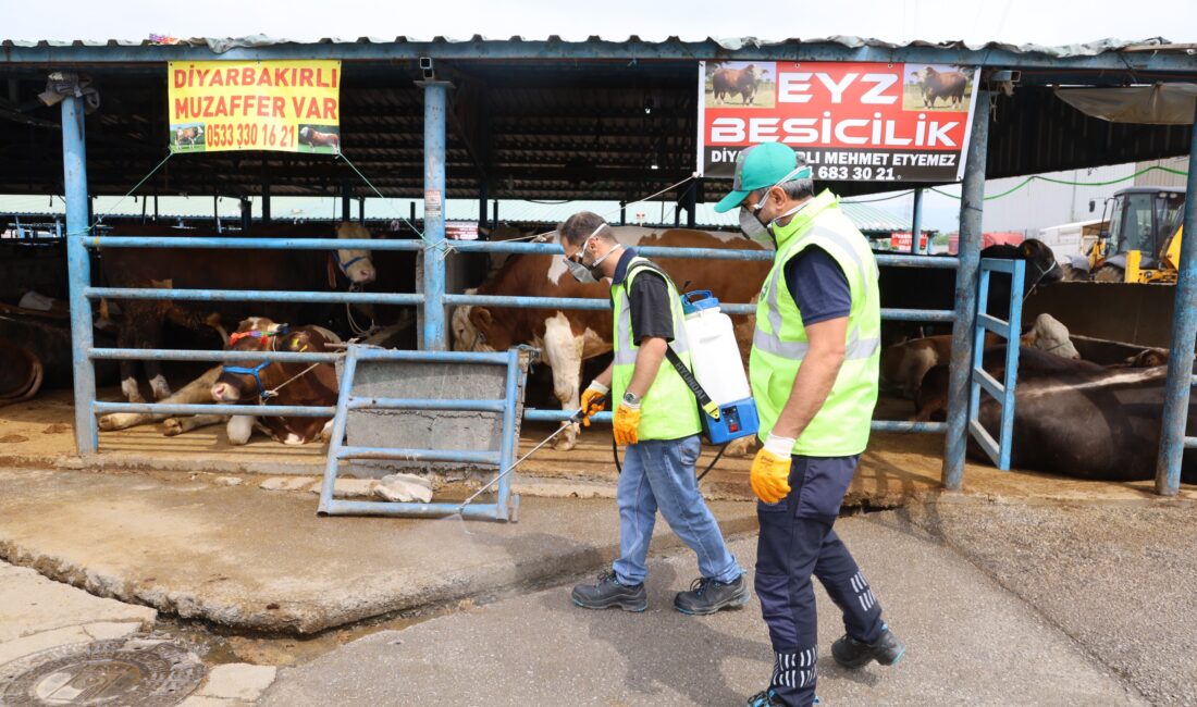 Bursa Büyükşehir Belediyesi, Kurban Bayramı öncesinde şehir merkezinin yanı sıra