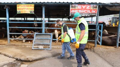 Bursa Büyükşehir Belediyesi, Kurban Bayramı öncesinde şehir merkezinin yanı sıra