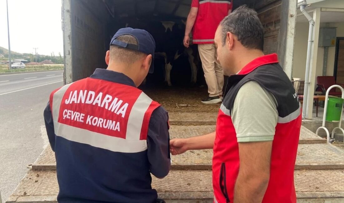 Orhangazi ilçe Jandarma Komutanlığı, yaklaşan Kurban Bayramı öncesinde kurbanlık hayvan