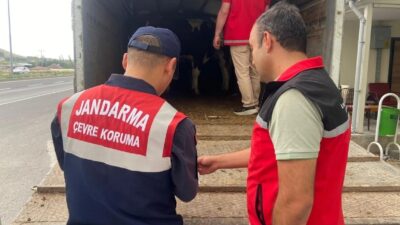 Orhangazi ilçe Jandarma Komutanlığı, yaklaşan Kurban Bayramı öncesinde kurbanlık hayvan