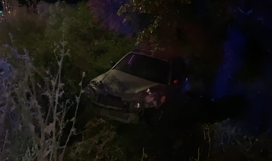 Bursa’nın İznik ilçesinde meydana gelen trafik kazasında kontrolden çıkan otomobilin