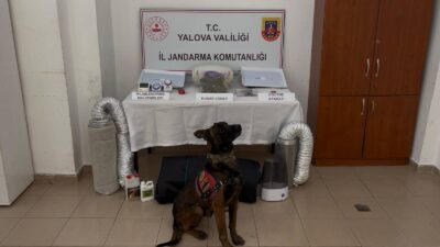 Yalova İl Jandarma Komutanlığı ekipleri tarafından uyuşturucuyla mücadele kapsamında gerçekleştirilen