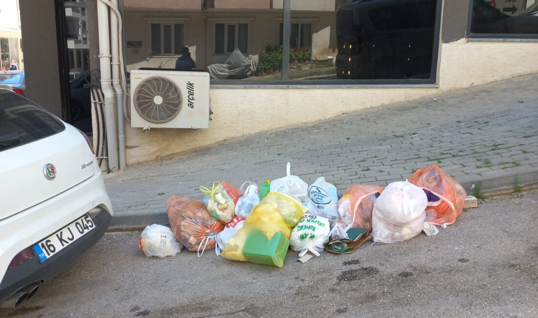 Bursa’nın Orhangazi ilçesinde bir cadde üzerinde bulunan çöp konteynerinin esnafın