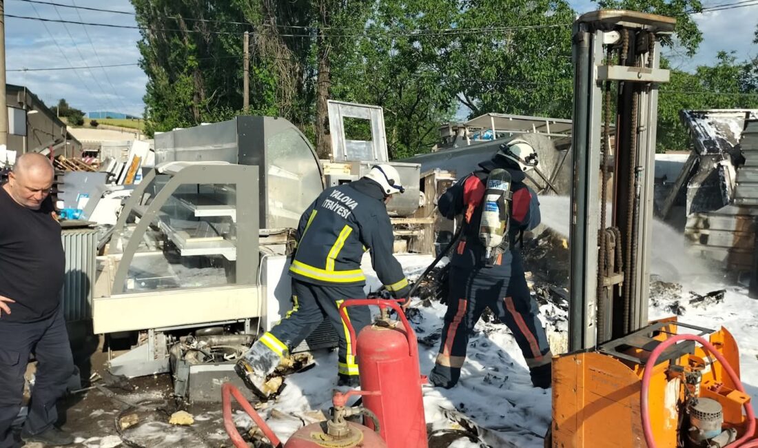 Yalova'da Kirazlı Sanayi Sitesi içerisinde bulunan bir hurdalık alanda çıkan