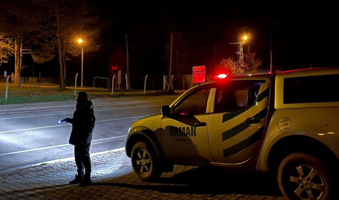 Bursa Orman Bölge Müdürlüğü, orman suçlarıyla mücadele kapsamında denetimlerini gece