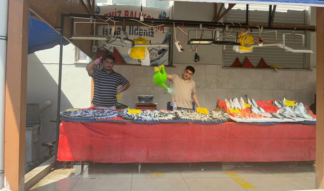 Orhangazi’de balık tezgâhlarında yaz aylarının gelmesiyle birlikte durgunluk yaşanmaya başladı.