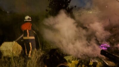 Yalova'da ağaçların yoğun olarak bulunduğu bir alanda çıkan yangın ekiplerin