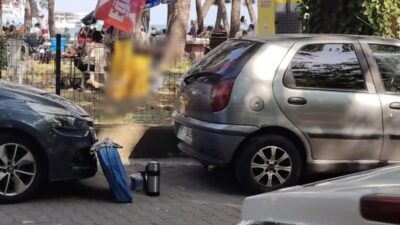 Bursa'nın Orhangazi ilçesinde göl piknik alanında düzenlenen bir sendika etkinliğinde
