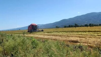 Bursa Valiliği İl Kuraklık Kriz Merkezi, İznik Gölü’ndeki su seviyesinin