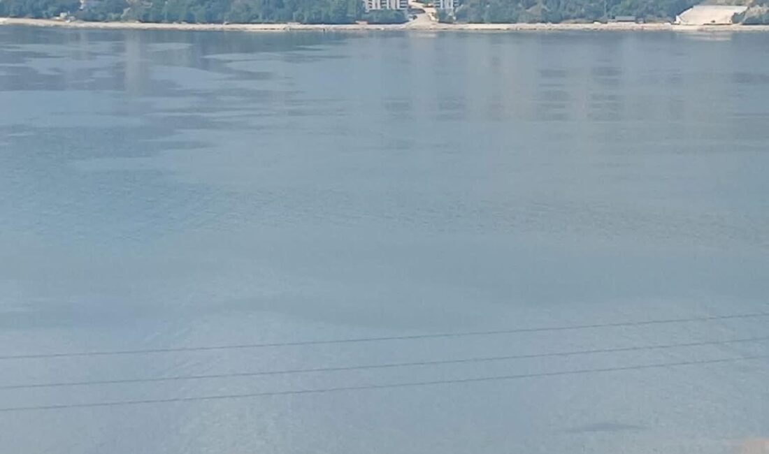 Marmara Denizi'nde belirli aralıklarla etkili olan müsilaj (deniz salyası), Gemlik'e
