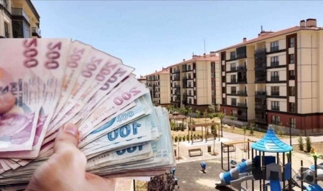Çevre, Şehircilik ve İklim Değişikliği Bakanı Murat Kurum, canlı yayında