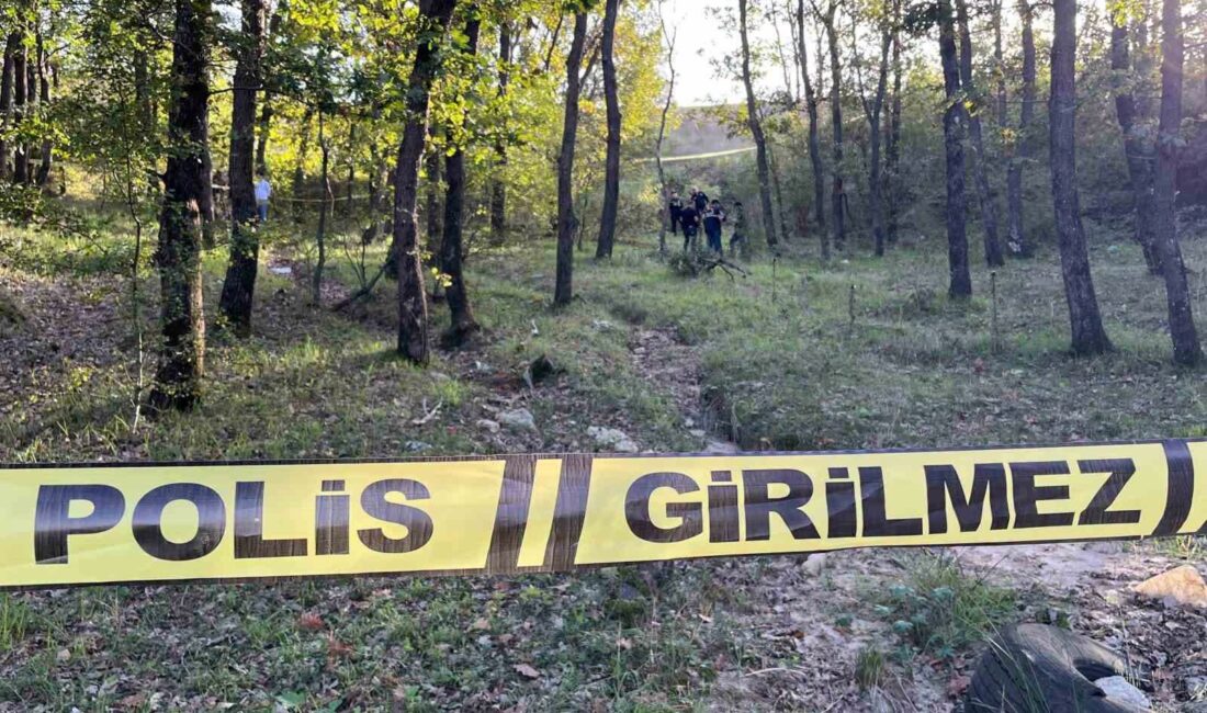 Yalova'da bir süredir kendisinden haber alınamayan yabancı uyruklu gencin cansız