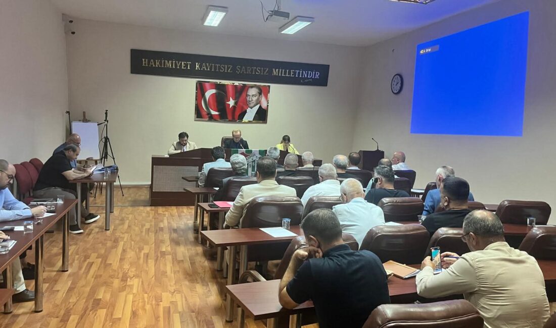 Orhangazi Belediyesi'nin Haziran ayı meclis toplantısında, ilçe merkezinde faaliyet gösteren