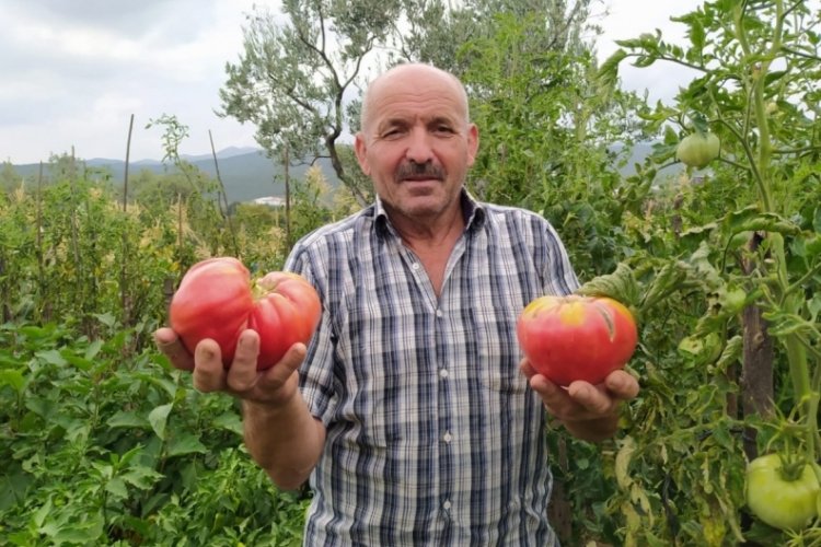 Bursa'nın Orhangazi ilçesinde yaşayan 67 yaşındaki çiftçi Salih Atasoy, yıllardır
