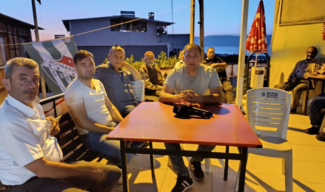Bursa'nın Orhangazi ilçesinde İznik Gölü'nün güney yakasında bulunan Heceler bölgesinde