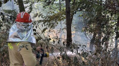 Bursa'nın Orhangazi ilçesinde ormanlık alanda çıkan yangın, Orhangazi orman söndürme