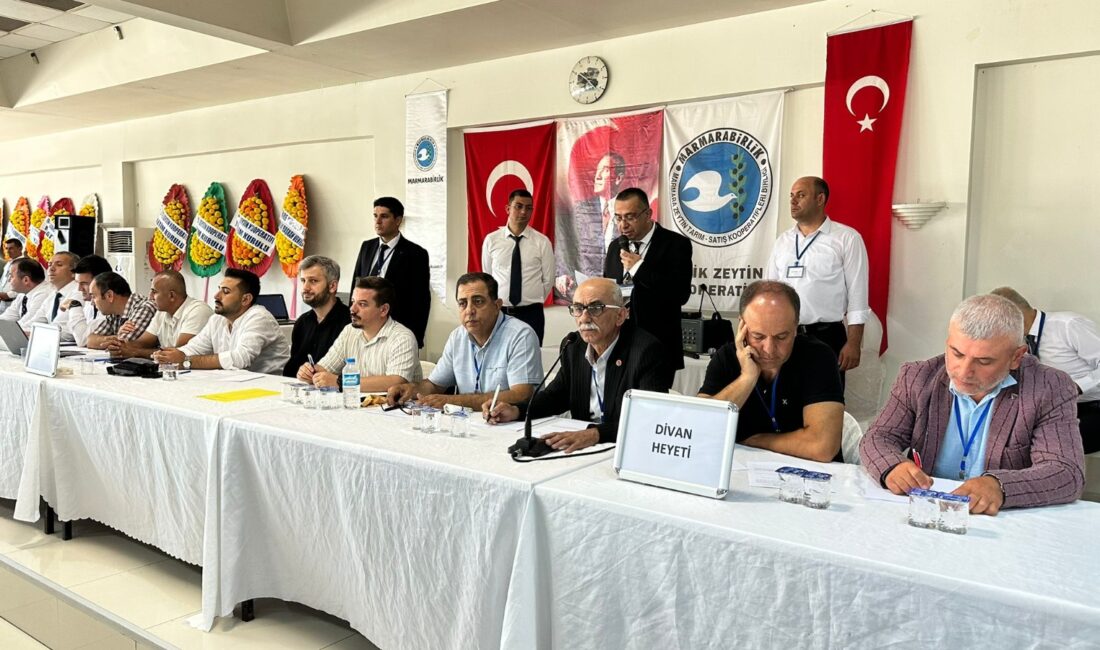 Bursa'nın İznik ilçesinde Marmarabirlik İznik Zeytin Tarım Satış Kooperatifi'nin merakla