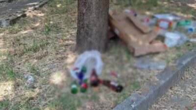 Bursa'nın Orhangazi ilçesinde şehir merkezinde bulunan mezarlıkta ortaya çıkan görüntüler