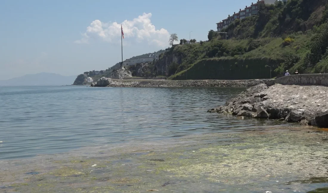 Marmara Denizi'nde 2021 yılında ilk defa görülen müsilaj tehdidi yeniden
