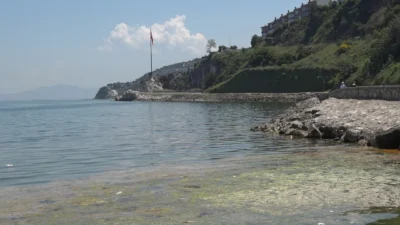 Marmara Denizi'nde 2021 yılında ilk defa görülen müsilaj tehdidi yeniden
