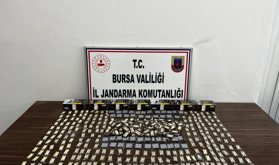 Bursa'nın Osmangazi ilçesinde kaçak tütün ve tütün mamulleri ticaretine yönelik