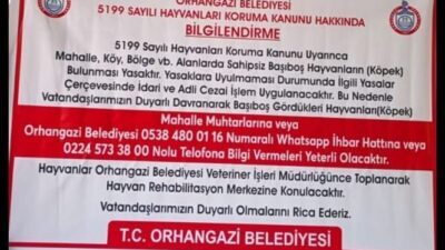 İçişleri Bakanlığı’nın 81 il valiliğine gönderdiği ve sokak köpeklerinin toplatılmasını
