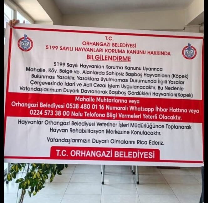 İçişleri Bakanlığı’nın 81 il valiliğine gönderdiği ve sokak köpeklerinin toplatılmasını