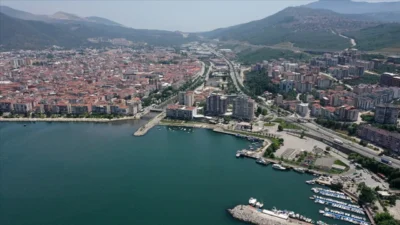 Bursa'nın Gemlik ilçesinde bu yıl ikincisi düzenlenmesi planlanan Gemlik Zeytini