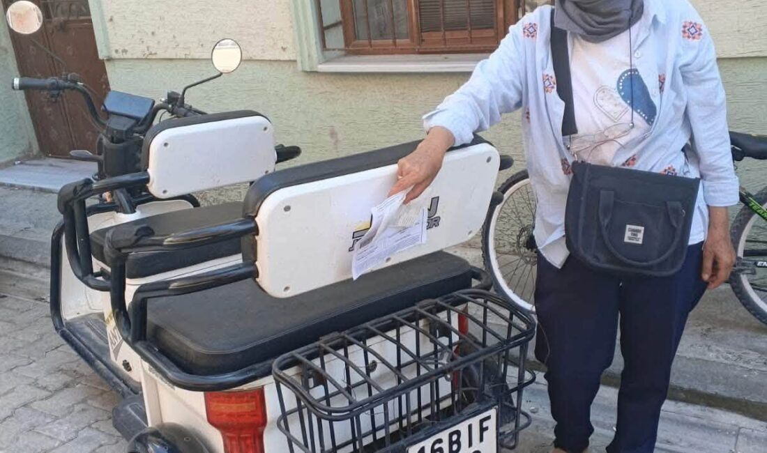 Bursa'nın İznik ilçesinde yaşayan Halise Esen isimli kadın, adına kayıtlı