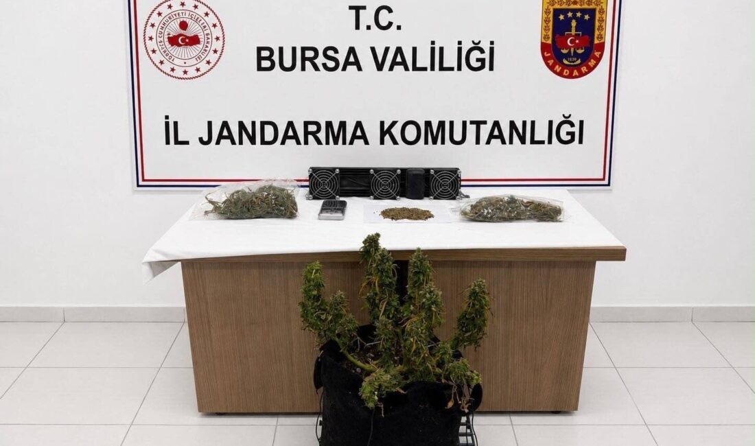 Bursa İl Jandarma Komutanlığı ekiplerince uyuşturucu ile mücadele kapsamında düzenlenen
