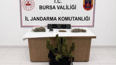 Bursa İl Jandarma Komutanlığı ekiplerince uyuşturucu ile mücadele kapsamında düzenlenen