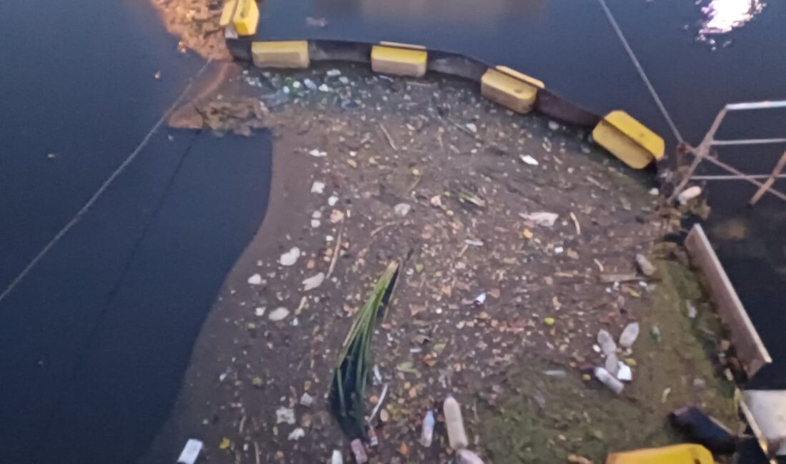 Bursa'nın Gemlik ilçesinde bulunan Karsak Deresi'nin Marmara Denizi ile buluştuğu