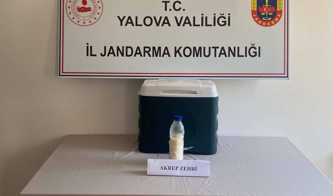 Yalova'da  İl Jandarma Komutanlığı ekiplerinin düzenlediği operasyonda yaklaşık 500 mililitre