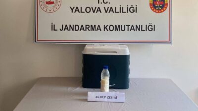 Yalova'da  İl Jandarma Komutanlığı ekiplerinin düzenlediği operasyonda yaklaşık 500 mililitre