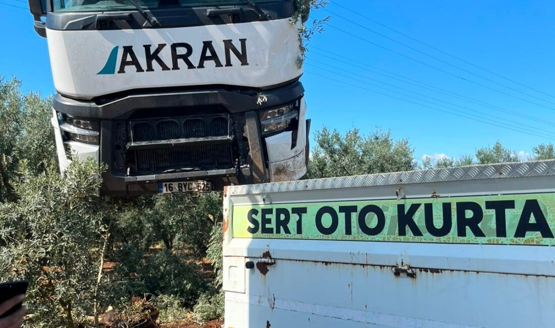 Bursa'da, Orhangazi - İznik yolu üzerinde meydana gelen kazada 