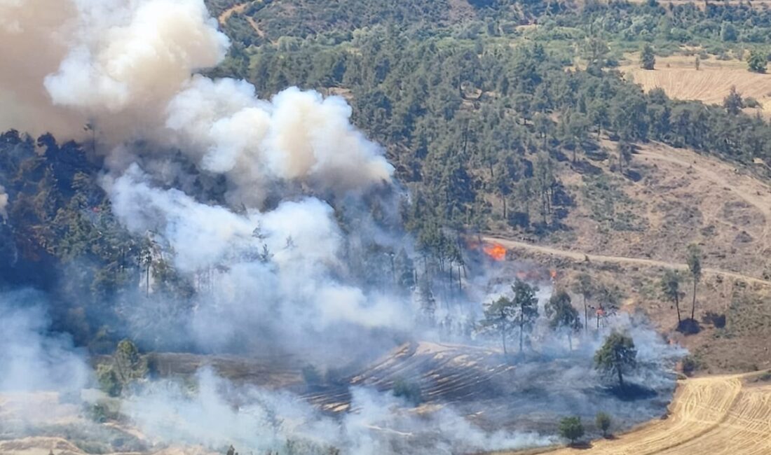 Bursa’nın Büyükorhan ilçesinde tarım arazisinde çıkan yangın kısa sürede ormanlık